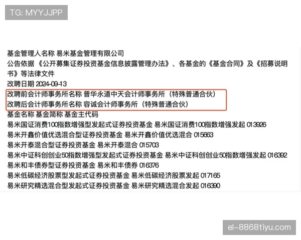 第四官员职责解析：比赛中他们到底负责哪些关键判罚辅助？